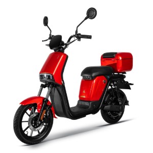 Moped electric, baterie litiu detasabila, motor 1000W, rosu - Rainbow